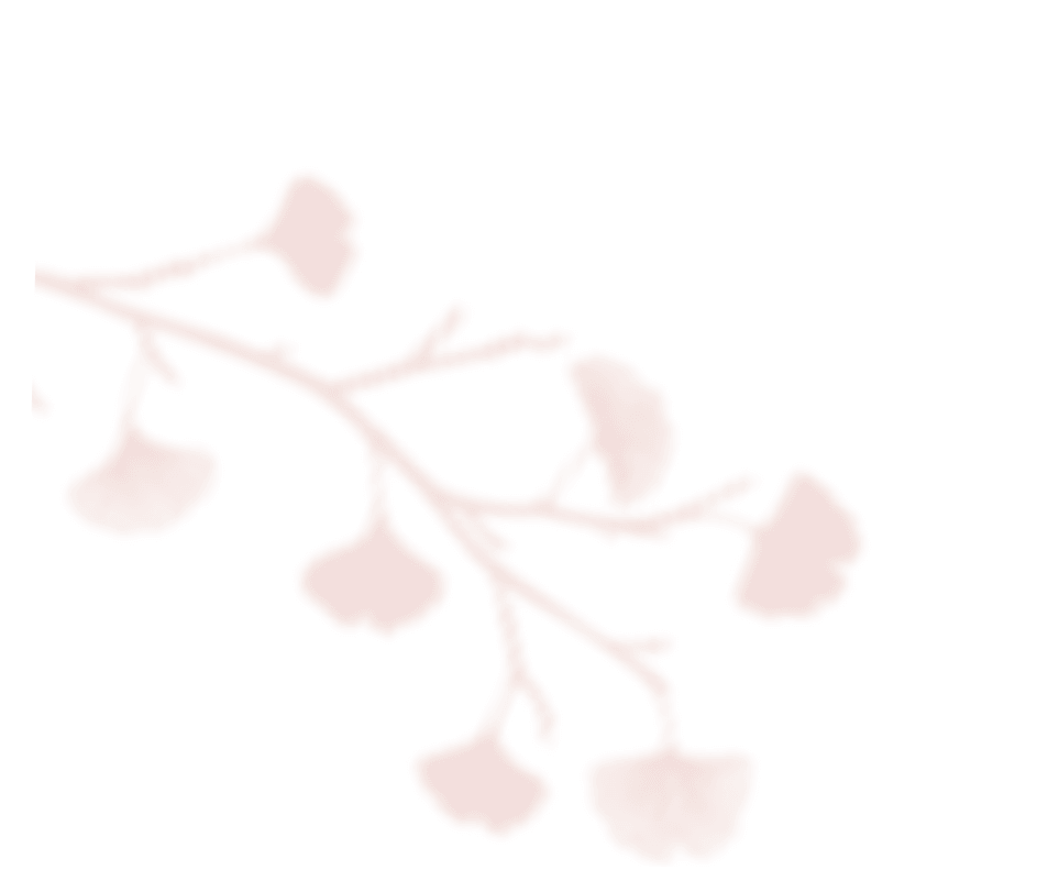 https://titayjonathan.com/wp-content/uploads/2020/12/shadow_leaves_06.png