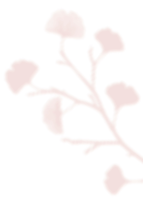 https://titayjonathan.com/wp-content/uploads/2020/12/shadow_leaves_07.png